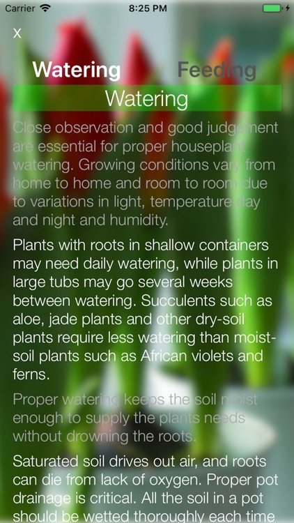 House Plants screenshot-6