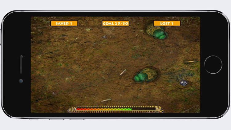 Isopod A RolyPoly Science Game screenshot-3