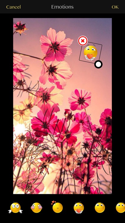 Photo Editing - Photozen screenshot-9