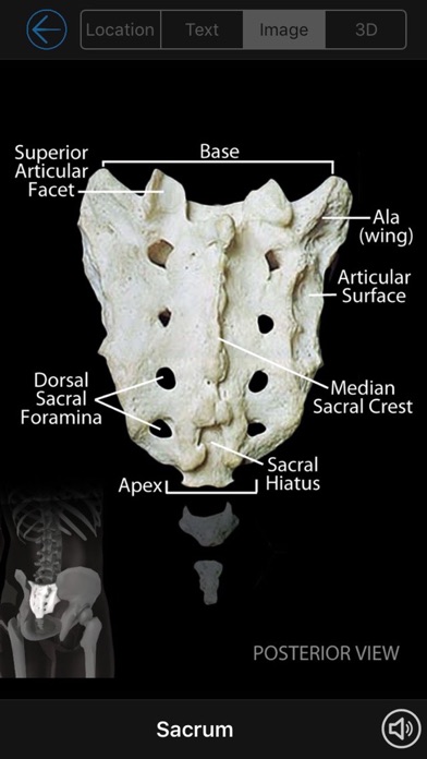 How to cancel & delete Skeletal Anatomy 3D - Quiz and Reference from iphone & ipad 3