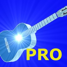 Tunic Guitar Pro