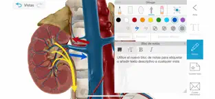 Captura de Pantalla 4 Atlas de anatomía humana 2021 iphone