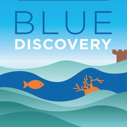 BlueDiscovery