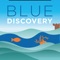 With BlueDiscovery you can easily find a all range of information and services related to the Italian Marine Protected Areas (MPAs) and Marine Parks catered for all needs, from general tourism to pleasure yachting and sailing, diving and sport fishing