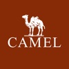 CAMEL骆驼