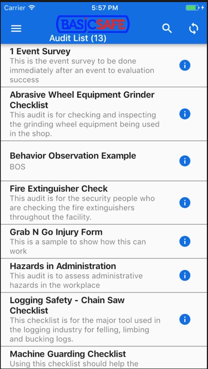 Basicsafe Mobile Audit