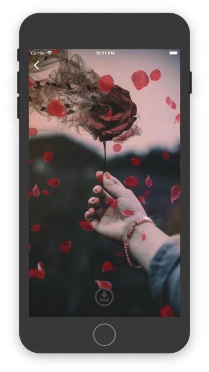 Live Wallpapers 2019