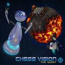 Activities of Chess Vision Quest