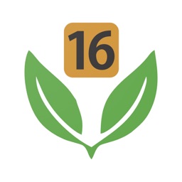 Veg 16