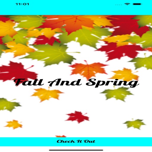 FallAndSpring