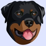 My Rottweiler