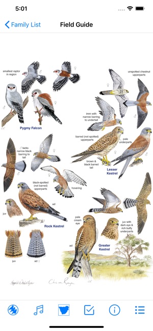 Roberts Bird Guide 2(圖2)-速報App