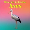 Diversity in Living: Aves