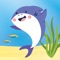Icon Baby Shark Games