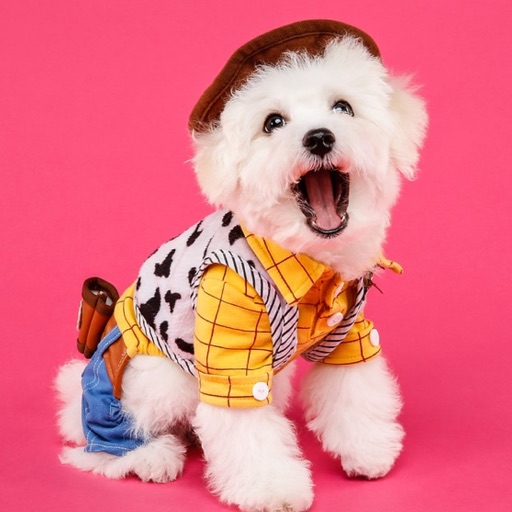 Pets In Costume