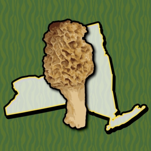 New York Mushroom Forager Map! iOS App