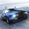 The first of its kind racing game built on a physics engine with a wide customization