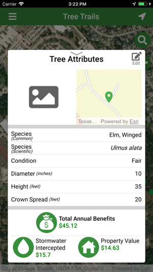 Tree Trails(圖3)-速報App