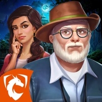 Hidden Escape: Тайные расследо на пк