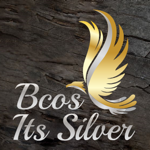 BCOS Its Silver Jewelry