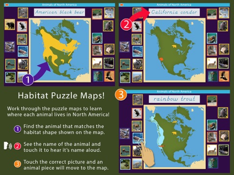 Animals of North America - náhled