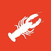 The Crawfish App Avis