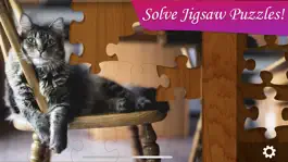 Game screenshot Jigsaw Puzzle Frenzy mod apk