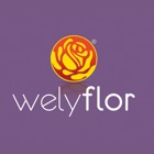 Welyflor WebApp