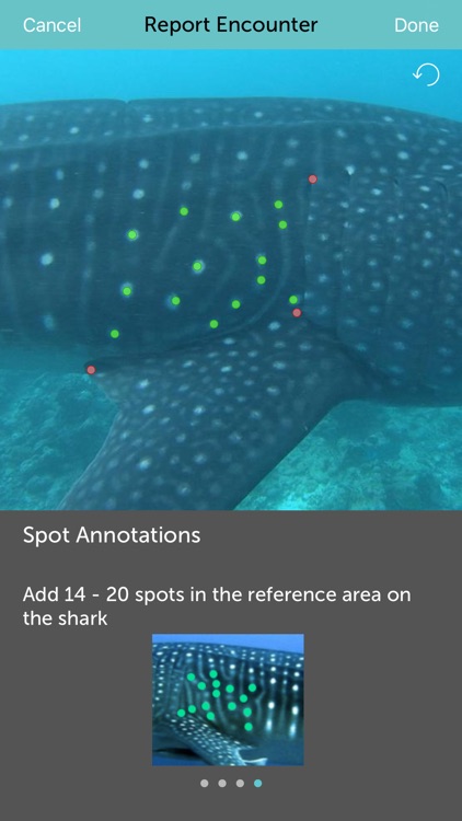 Whale Shark Network Maldives screenshot-3