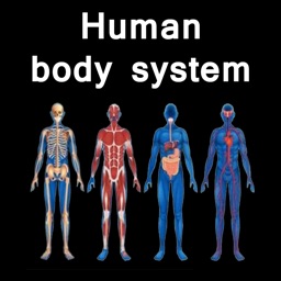 The Amazing Human System