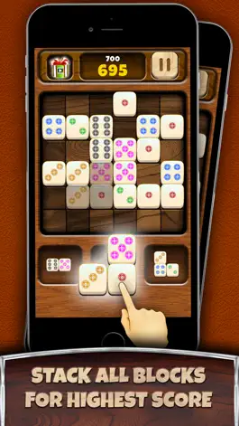 Game screenshot Domino Merge Block Puzzle hack