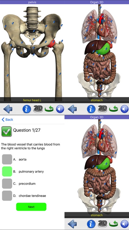 Visual Anatomy screenshot-7