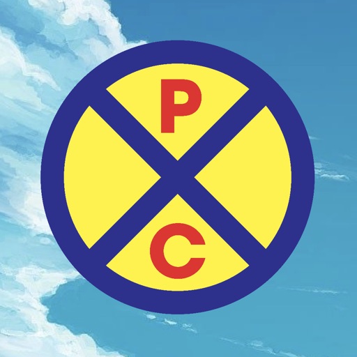 PlatformXChain Icon