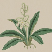 Floral Vintage Watercolors PC 용