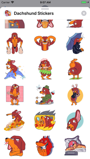 Dachshund Stickers(圖3)-速報App