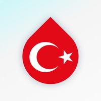 Lerne Türkisch - Drops apk