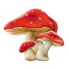 Mushrooms Of Course