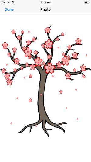 Spring Cherry Blossoms(圖2)-速報App