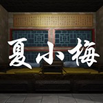 孙美琪疑案夏小梅中国版