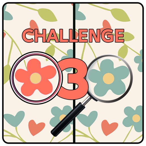 Five Differences Challenge 3 icon