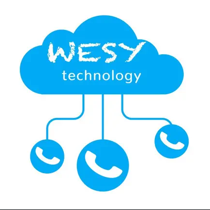 Wesy Express Читы