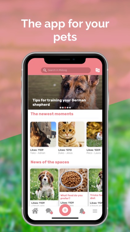 Midoog - Your pet's app