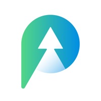PINE Events на пк