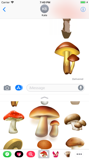 Mushrooms Of Course(圖5)-速報App