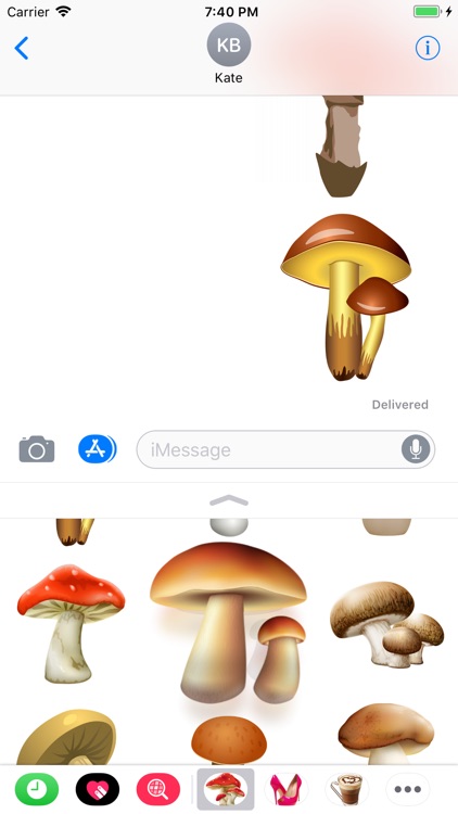 Mushrooms Of Course screenshot-4