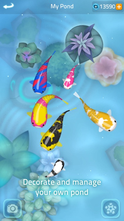 Zen Koi 2 screenshot-3