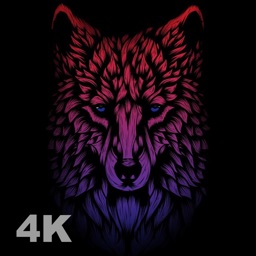 HD neon wolf wallpapers | Peakpx