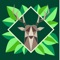 In this app you will find articles and original multimedia content, about wildlife, nature and agriculture