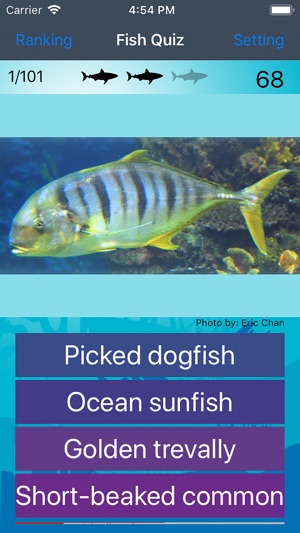 Fish Quiz 2019 Lite(圖7)-速報App