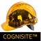 Cognisite application is for site workers with following key functionalities